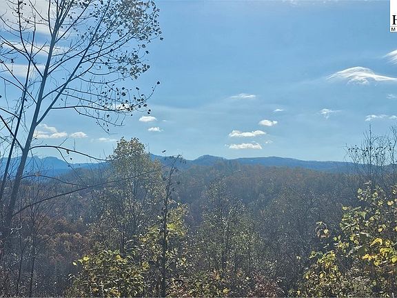 3rd image of Lot 110 Settlers Knob Road