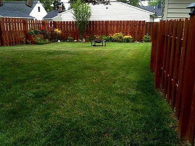 privacy fence