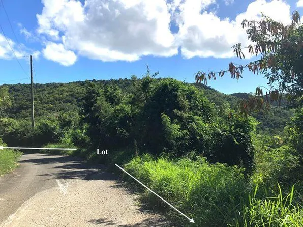 44 Orange Grove WE, St. Croix, VI