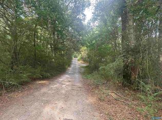 X Winding Brook Ln, Guntersville, AL 35976