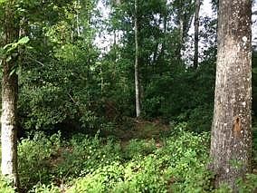 5th image of 2035 SW Pettis Springs Cir