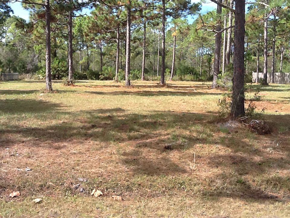 1st image of Cape Plantation Dr