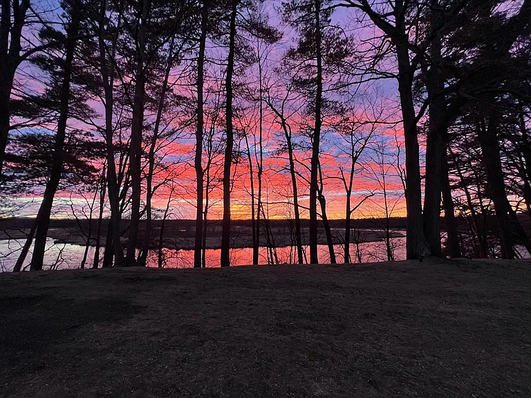 Spectacular back yard views all year round!