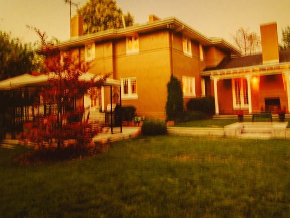 Back yard