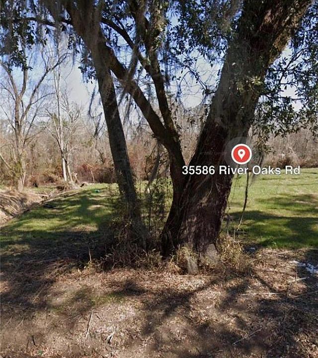 2nd image of 35586 River Oaks Rd