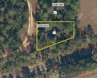 100 Connie Ave LOT 81, Interlachen, FL, 32148
