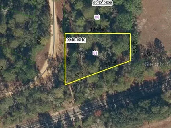 100 Connie Ave Lot 81, Interlachen, FL 32148