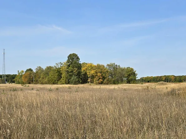 8620 Francis Rd, Elmira, MI 49730