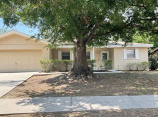 3818 Ravenna Dr, Valrico, FL 33594