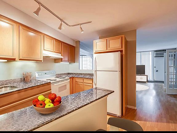 3rd image of 300 N State St APT 4205