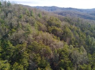 11.78 Tbd Windingstairs Road Nantahala, Topton, NC 28781
