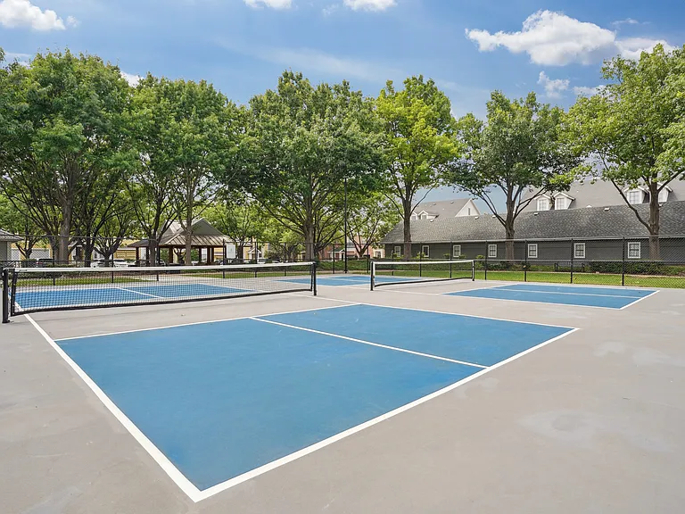 Pickleball Court