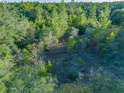 0 Shenandoah Blvd LOT 4, Chipley, FL, 32428