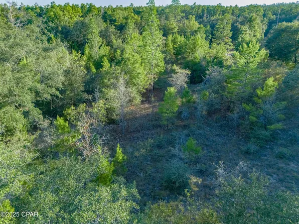 0 Shenandoah Blvd Lot 4, Chipley, FL 32428