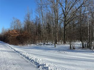 0 Smiths Creek Rd, Smiths Creek, MI 48074