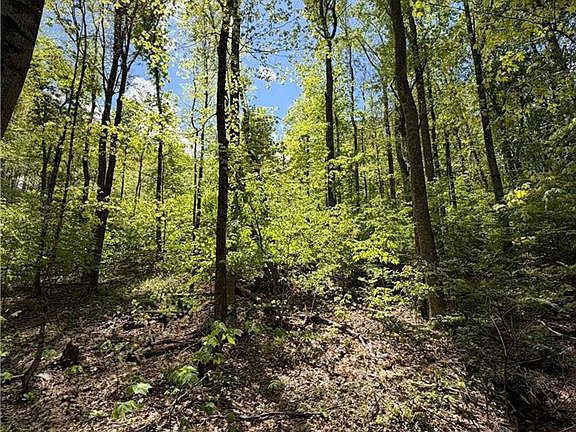 3rd image of LOT 28 Bluff Ridge Rd #28