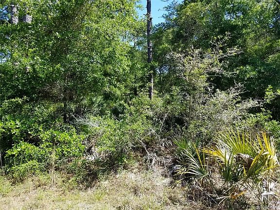 3rd image of 12752 W Cypress Vine Ln