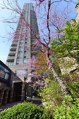 Rented by Peter Ashe | media 18