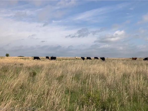 TRACT D2 E 4500th Rd, Morrison, OK 73061