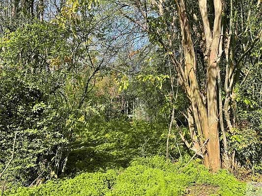 2nd image of 305 N Kenwood Rd
