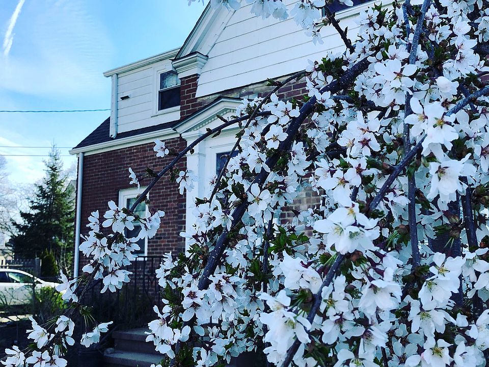 2nd image of 17 Calvin Ave