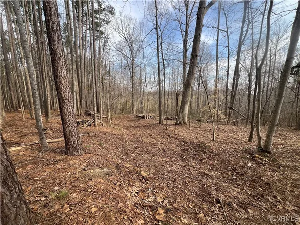 6073 Preakness Stakes Ln #4, Powhatan, VA 23139