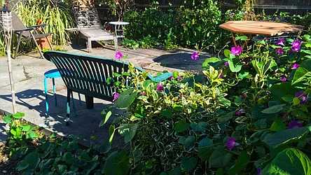 Rented by Nooklyn NYC LLC