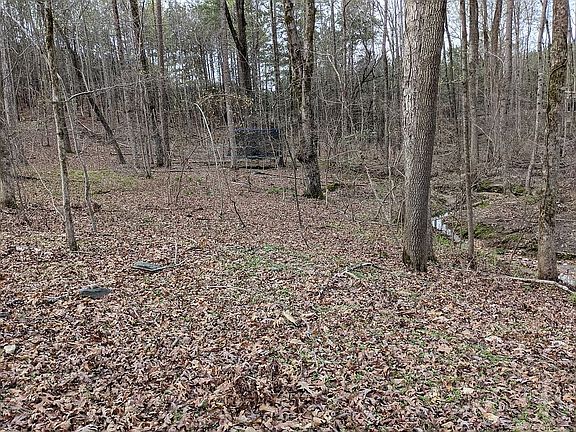 3rd image of 624 Bentwood Trl