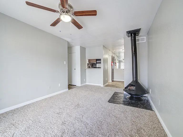 Ashford Santa Cruz Interior