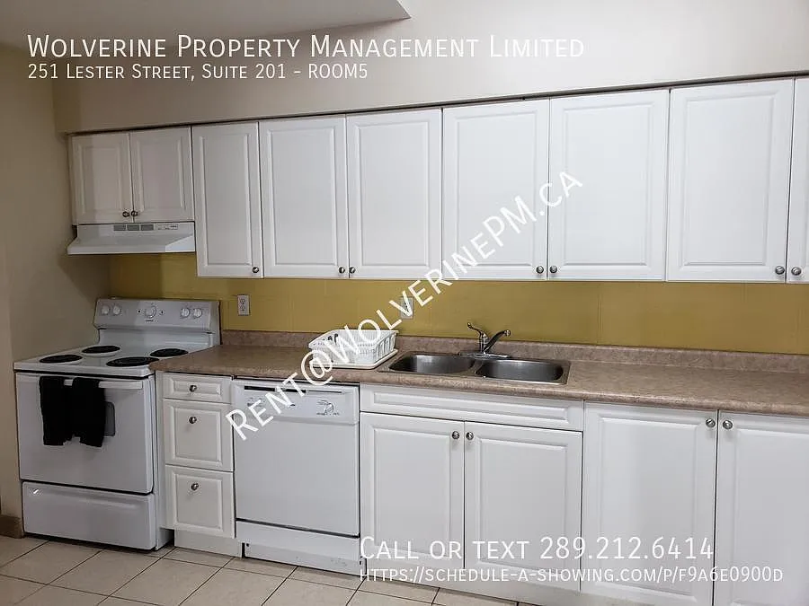 5 unit Student condo minutes from WLU + UW — Photo 4