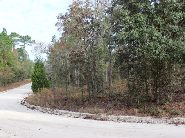 25 Northwest Cir, Bell, FL 32619