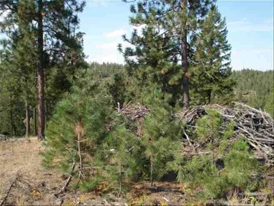 1st image of 13805 E Bellessa Ln