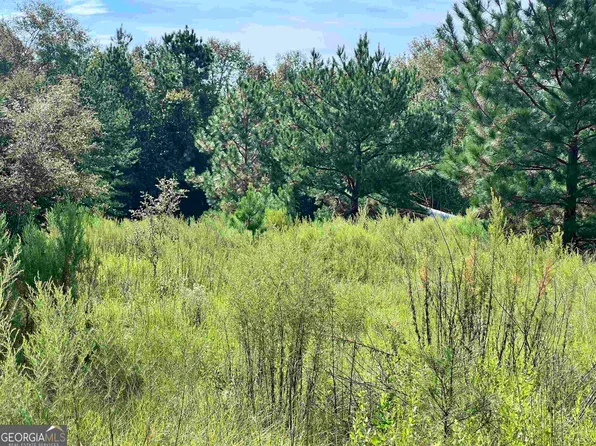 46 High Way, Soperton, GA 30457