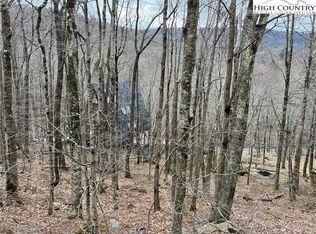 115 Pond Creek Rd, Banner Elk, NC 28604