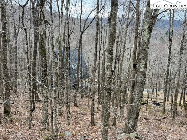 115 Pond Creek Road, Beech Mountain, NC 28604