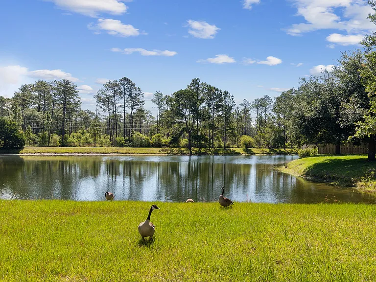 12677 Pine Marsh Way — Photo 10