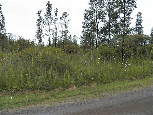 3rd image of 6th Ave Lot 2232