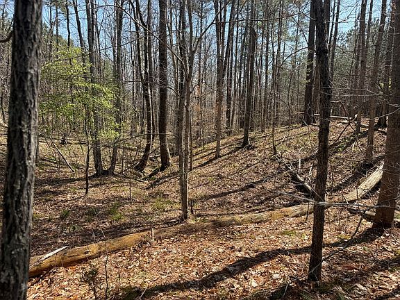 3rd image of 1738 Miller Camp Rd