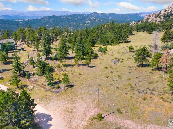 166 Red Cloud Peak Ct, Livermore, CO 80536