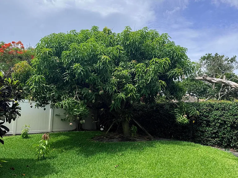 3509 NW 26th Ct — Photo 34