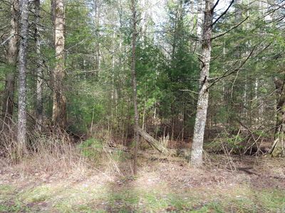 TRACT 10 Goodin Rd, Elkmont, AL, 35620