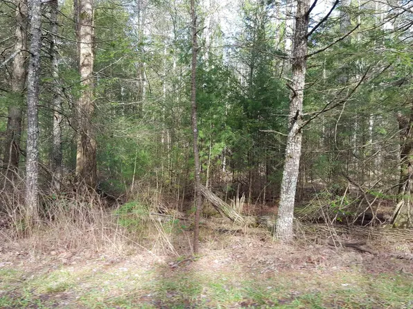 TRACT 10 Goodin Rd, Elkmont, AL 35620