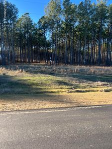 585 Stump Ridge Rd LOT 8, Brandon, MS, 39047