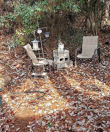 Secluded forest backyard