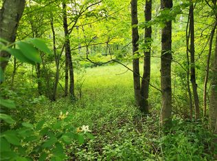 LOT 14.1 Joe Rd, South Otselic, NY 13155