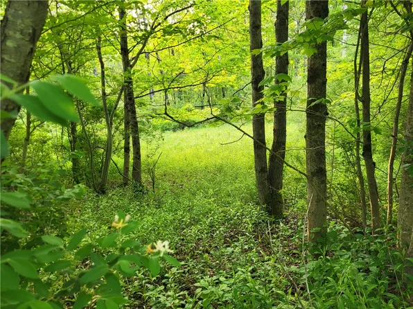LOT 14.1 Joe Rd, South Otselic, NY 13155