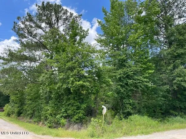 N Little River Rd, Forest, MS 39074