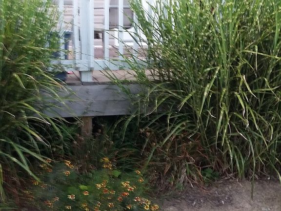 2nd image of 6040 Hazel Dr