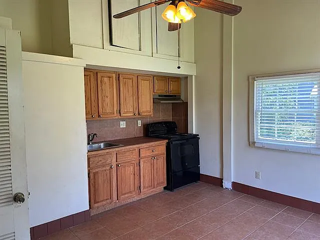 520 Allen St — Photo 3