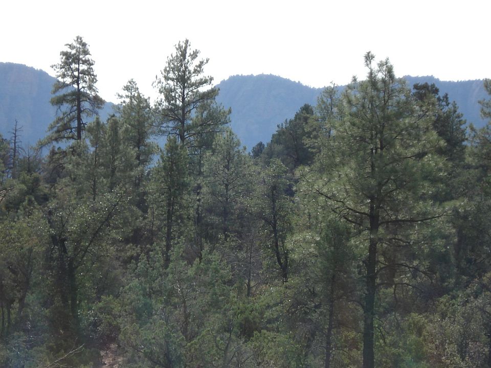1st image of 3101 E Monument Peak #167